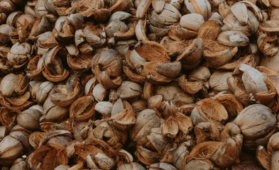 Palm Kernel Shell